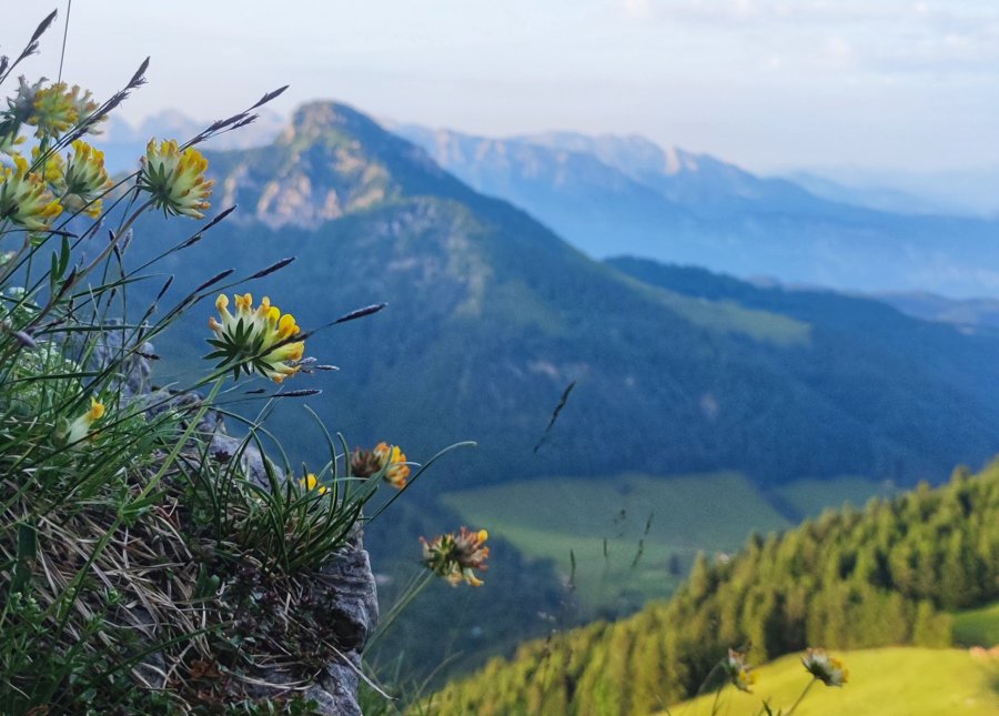 Beratung in der Natur am Samerberg